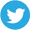 Twitter Icon