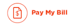 Pay Online Icon